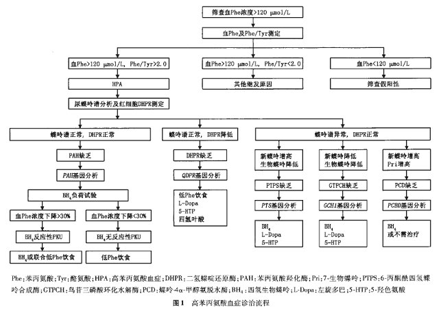 中華醫學會--高苯丙氨酸的診治專家共識