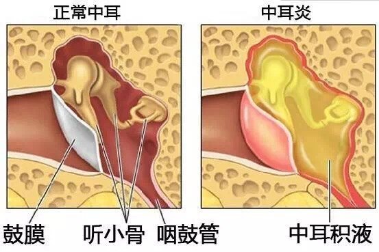 暂无