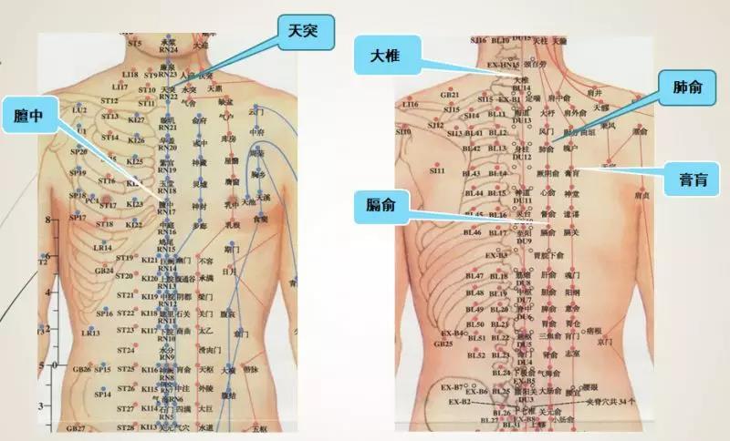 冬病夏治正當時選取背部督脈大椎,任脈膻中穴(均為單穴);足太陽膀胱經