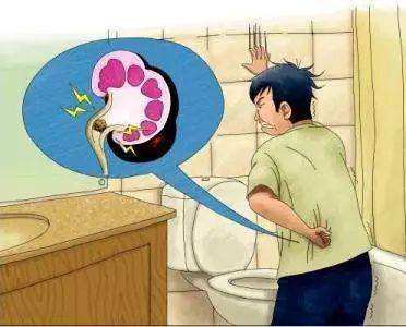 好大夫宣教-肾切除术后(独肾)的注意事项