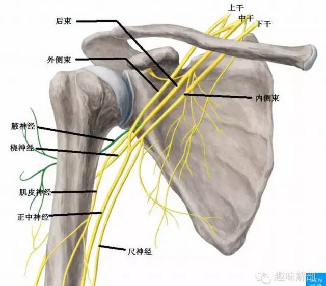 1536915186897831.png 454a4ead683543a5ac3a6af24ff4c6fd_th.png