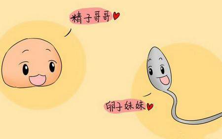 怎么提高精子质量呢 yoYBAFvynwCAP64WAAAm29vVvNo189.jpg?_ms_=ba49