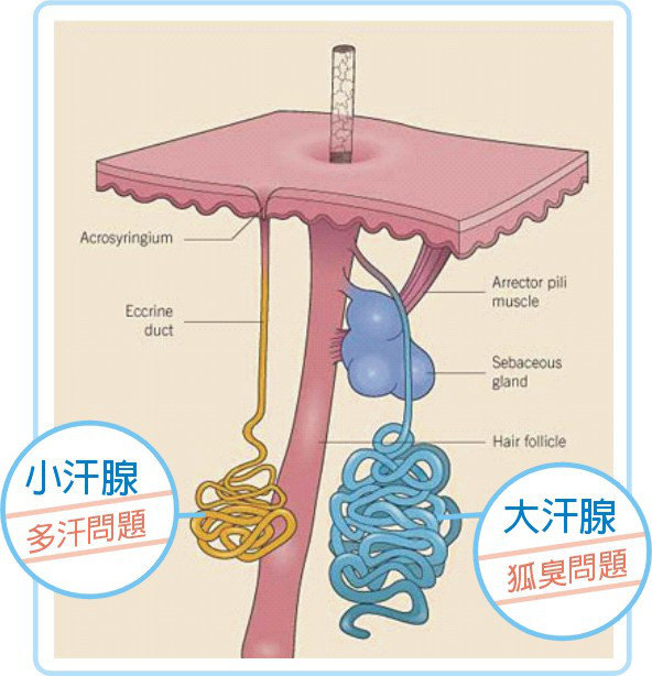 人口都有哪些利弊_到底要不要入深户 利弊有哪些 史上最全解答(3)