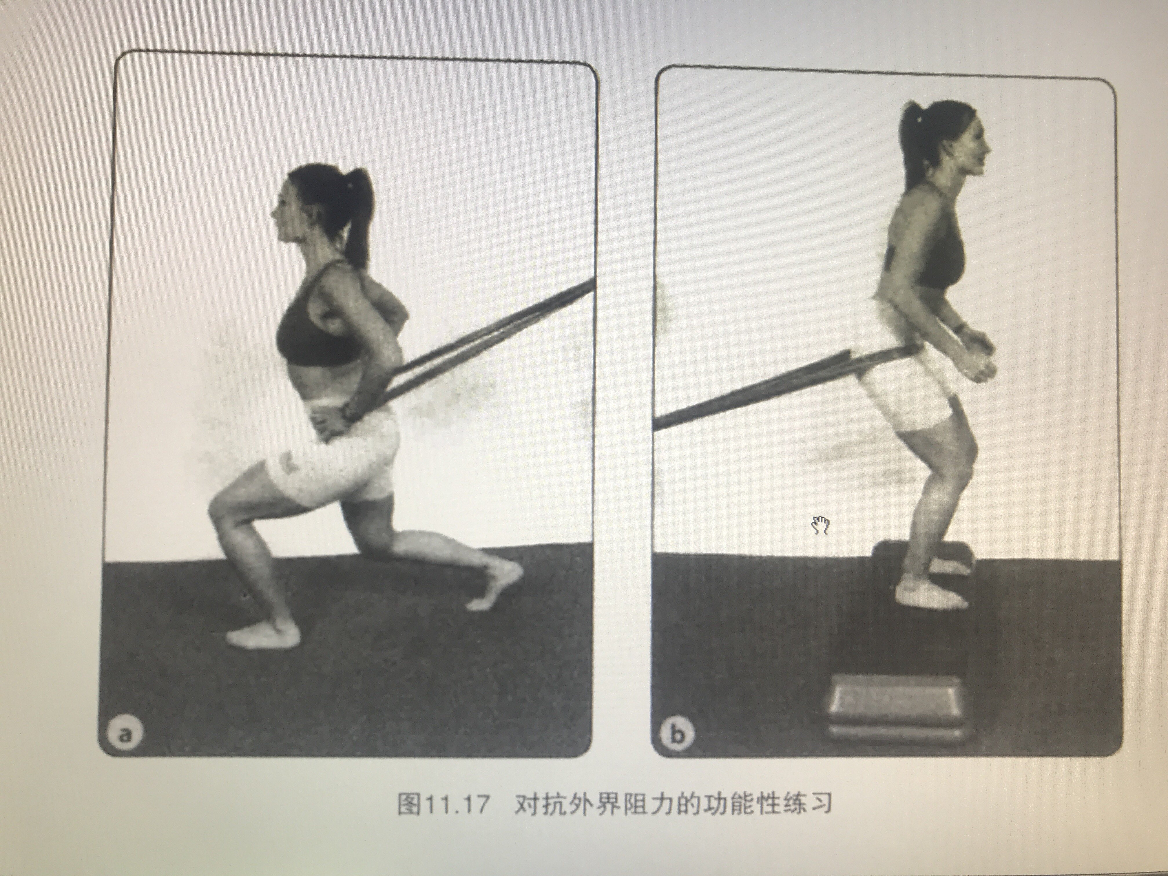 暂无