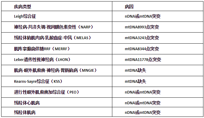 encephalomyopathy with lactic acidosis and stroke-like episodes