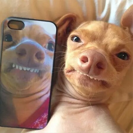 关于"天包地" - 好大夫在线