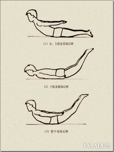 怎么锻炼腰大肌图片