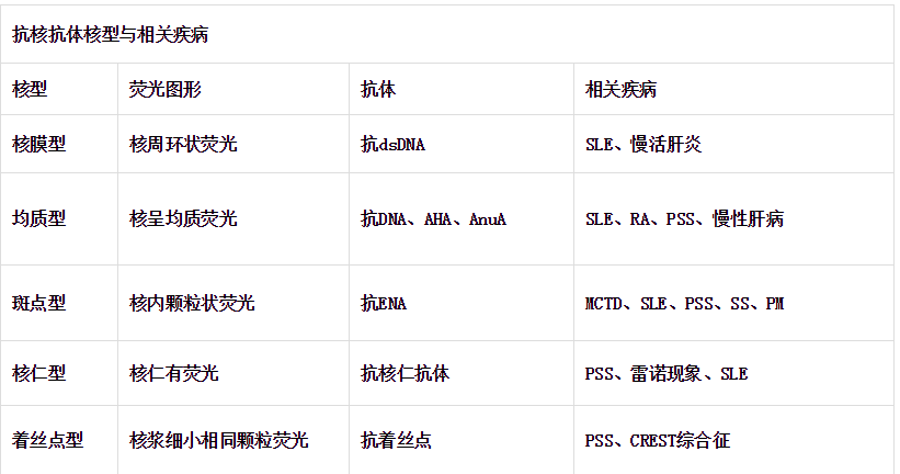 着丝点型等的描述,实质上这是通过显微镜观察到的抗核抗体的荧光信号