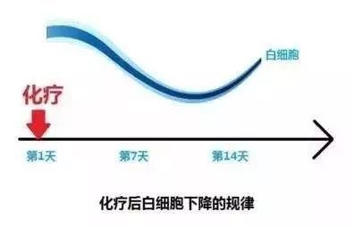 化疗后发生白细胞减少别着急 看这篇文章就清楚了 白细胞减少症