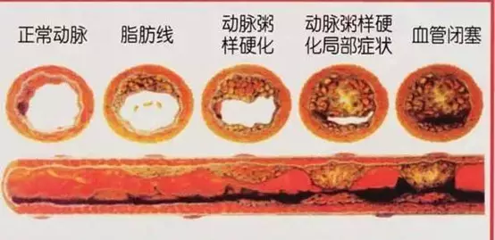 暂无