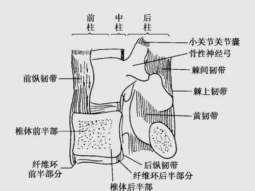 1577604316562822.jpg u=3438196819,2283284050&fm=26&gp=0.jpg