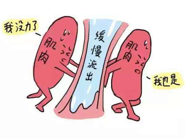 哪些人群易出现压力性尿失禁?压力性尿失禁的高危因素有哪些?_压力性