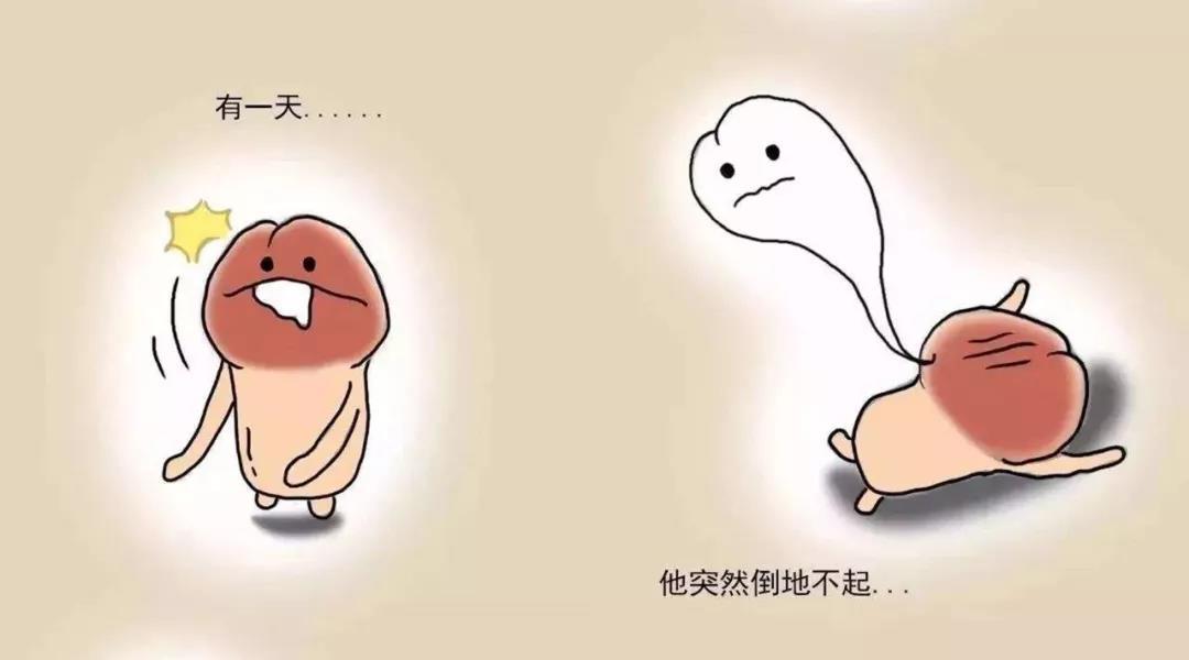 阴茎为什么会勃起?_阳痿_阳痿介绍 - 好大夫在线