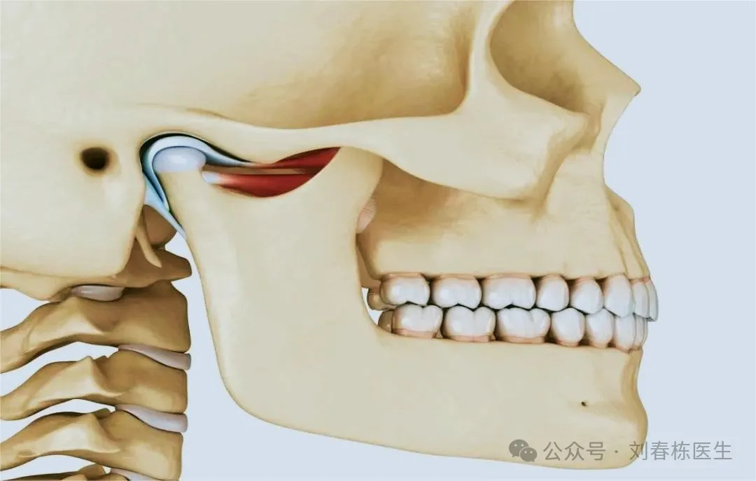 博士讲科普-颞下颌关节紊乱病应该挂什么科_颞下颌关节紊乱病_颞下颌关节紊乱病介绍 - 好大夫在线