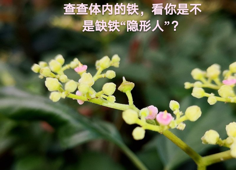 圖文圖片