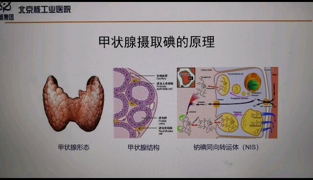 默认图片