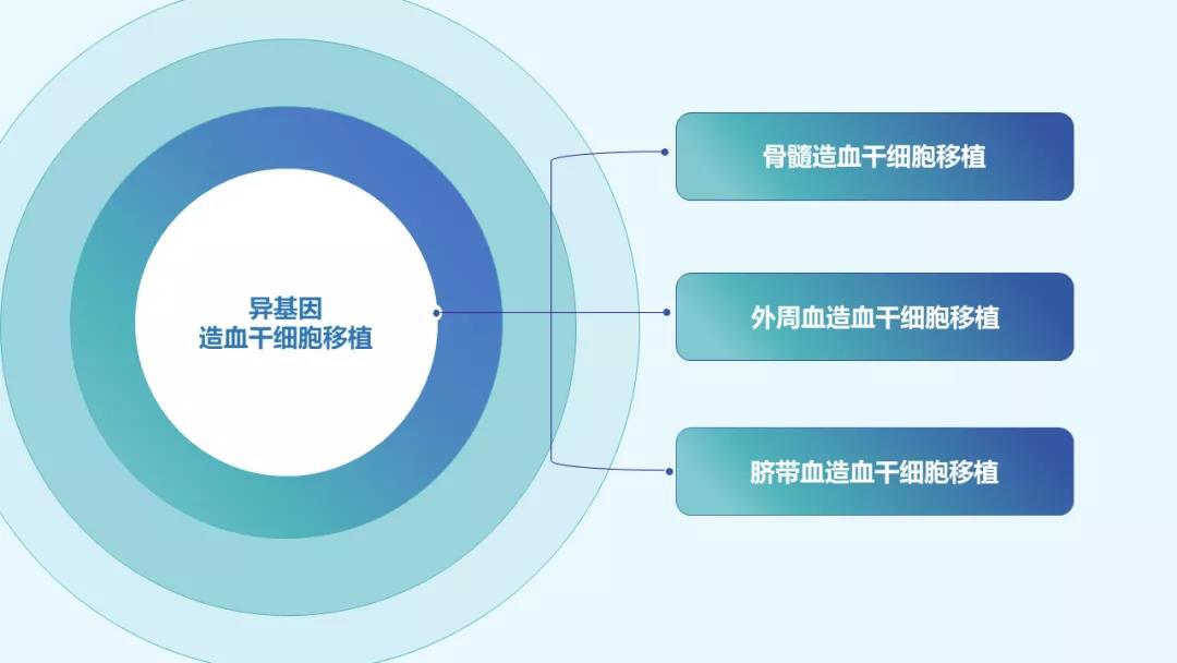移植决策丨所谓异基因造血干细胞移植到底是什么?_造血干细胞移植_造