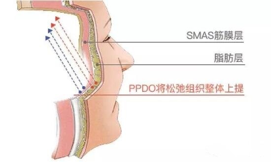 2lag-fyshstc6435064_副本.jpg