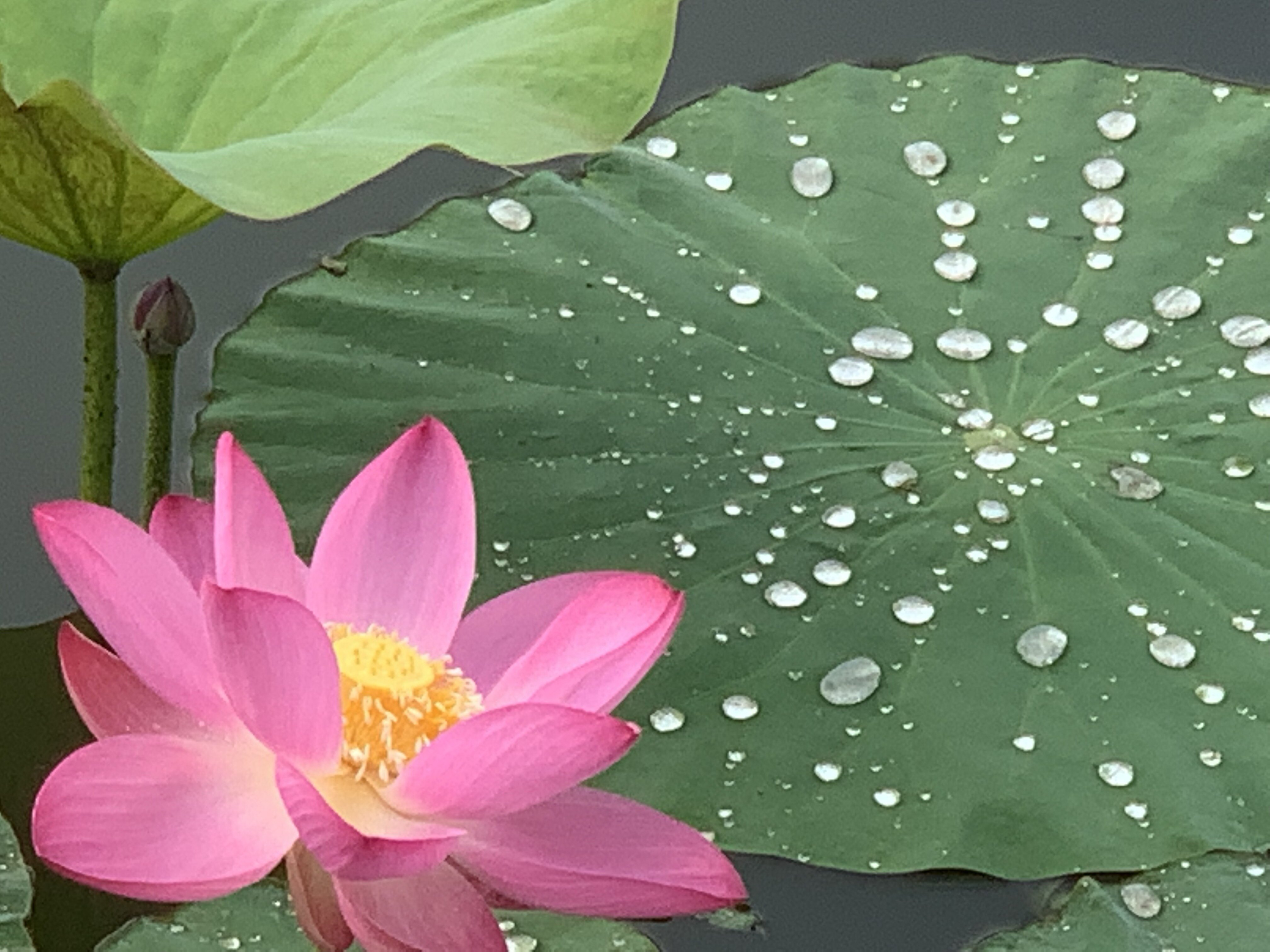 圖文圖片