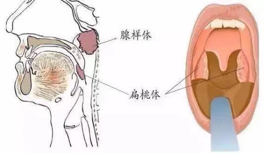 圖文圖片