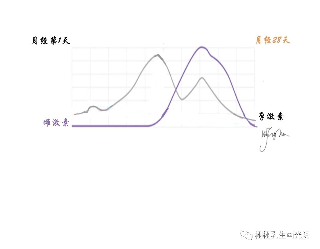 乳腺增生能彻底去根吗 乳腺增生 好大夫在线
