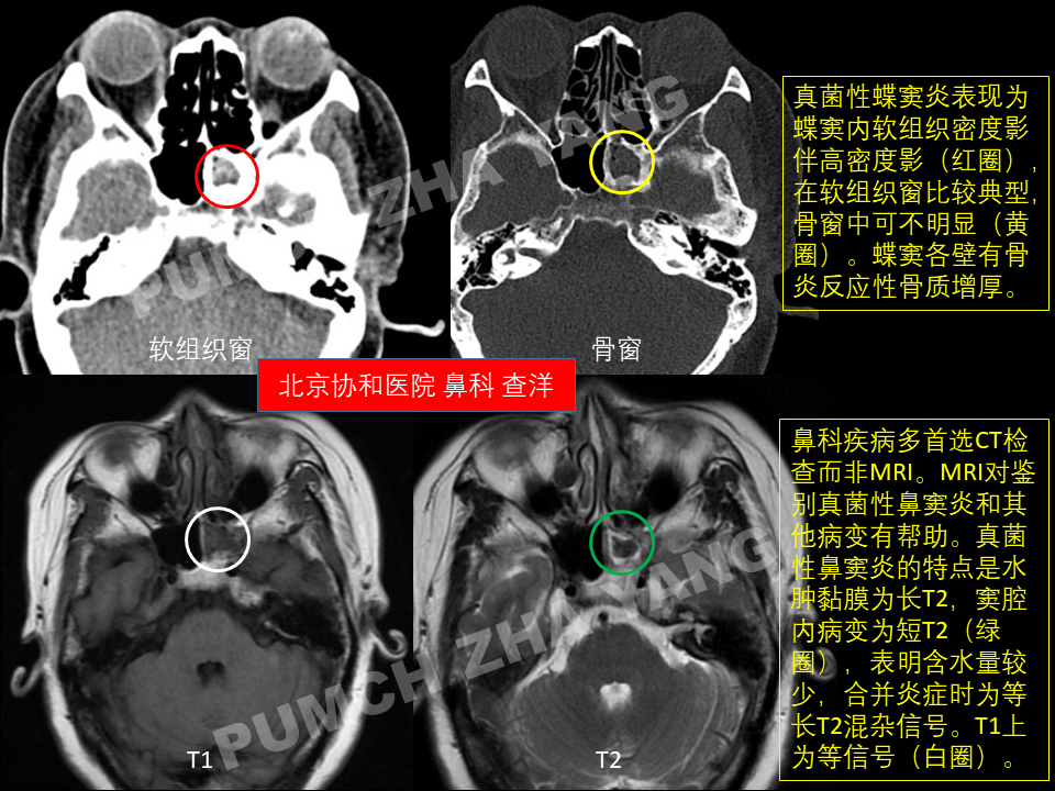 幻灯片1.PNG