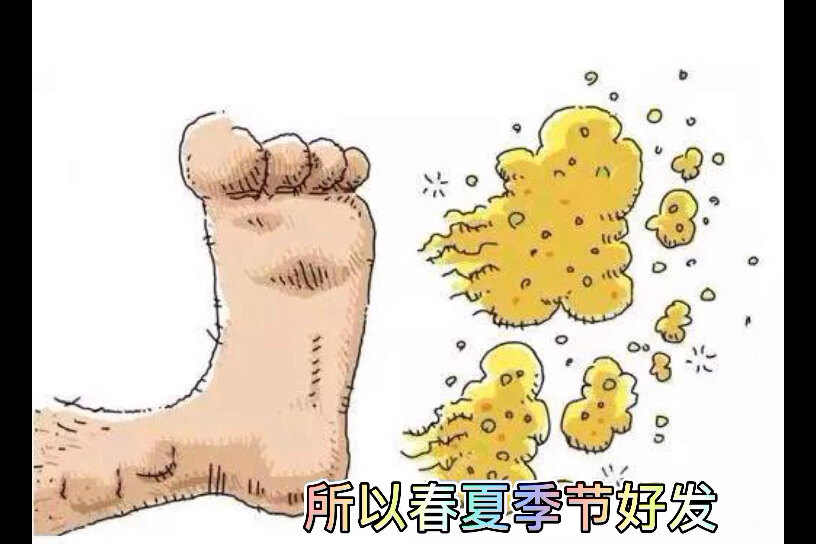 默认图片