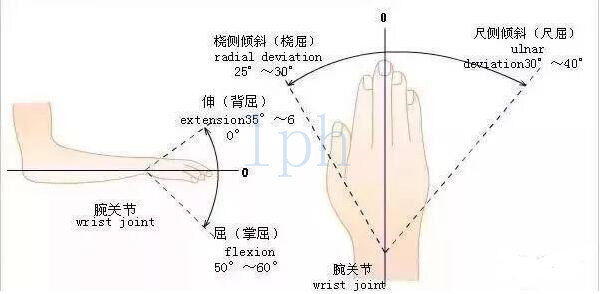 QQ截图20210524161835(1).jpg