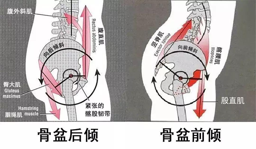 锁骨上脂肪垫图片图片