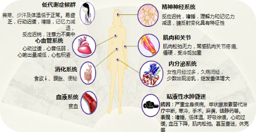 为什么会得甲减图片