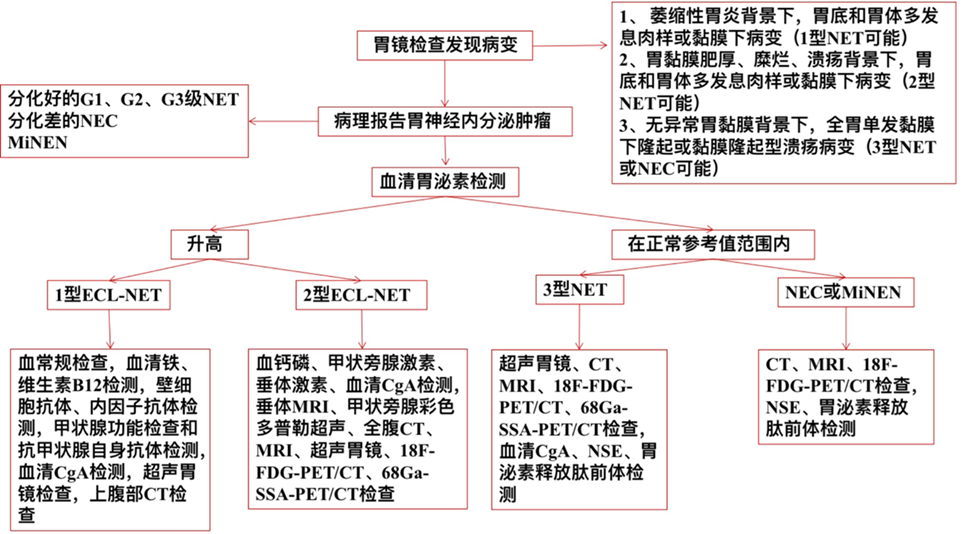 千奇百怪的胃神经内分泌肿瘤