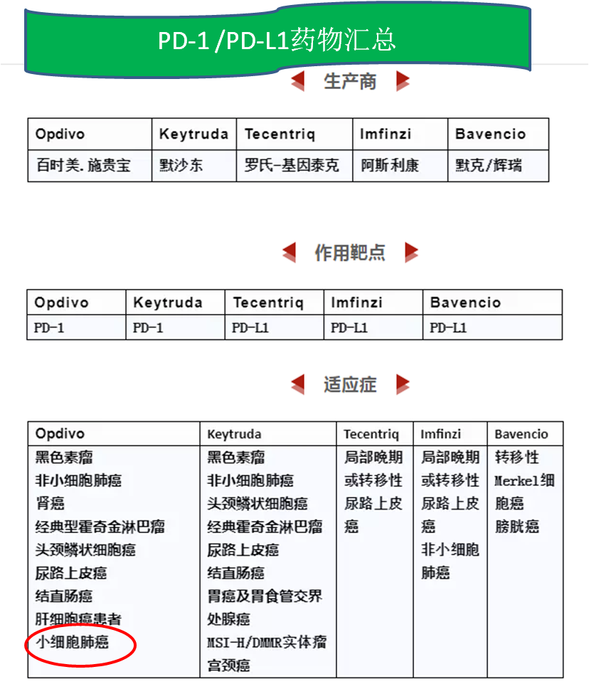 小细胞肺癌 Sclc 分子靶向治疗的曙光