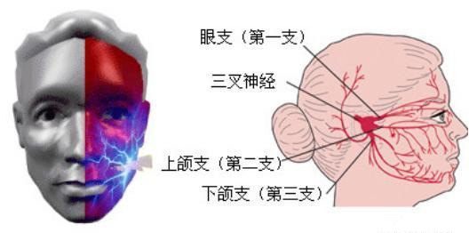 1568690844388690.jpg u=111026269,1074840630&fm=173&app=25&f=JPEG.jpg