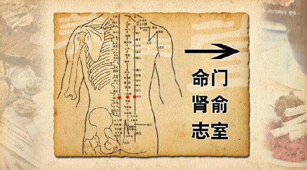 全面調理脾胃健康 (轉載)