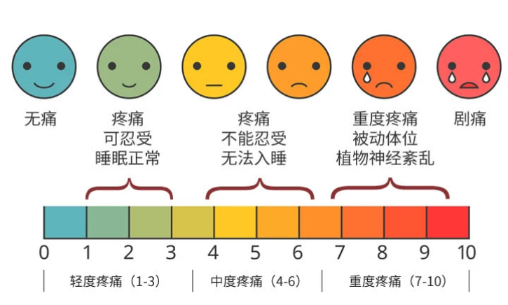 疼痛的评分及评价