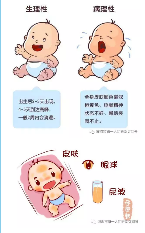 圖文圖片