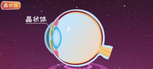 啥是人工晶体 0IYBAF5zKn6AUNTMAAHhaXqABy8748.png?_ms_=53dc