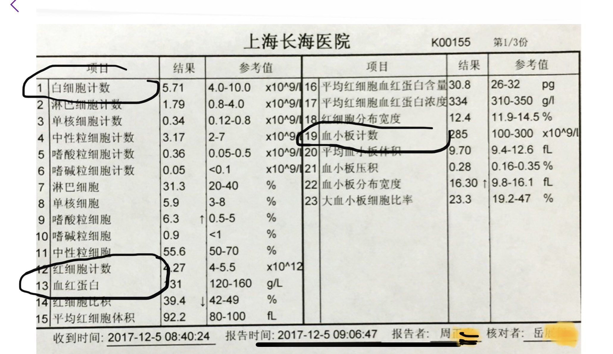 血常规怎么看结果图片