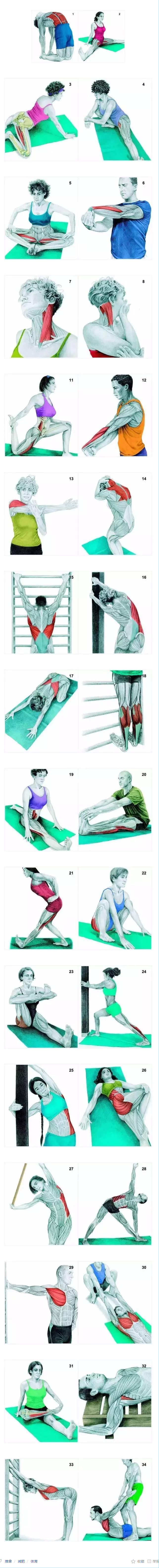 大腿肌肉放松方法图解图片