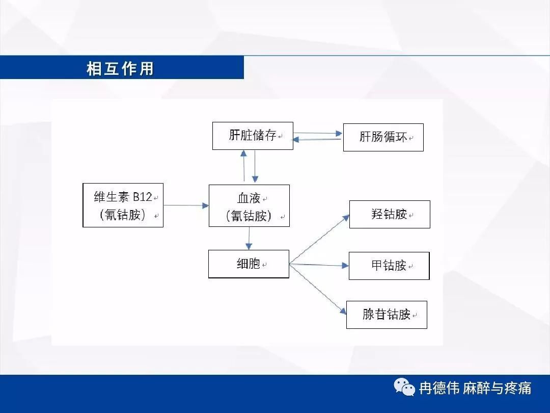 維生素b12和甲鈷胺腺苷鈷胺有啥區別和關係麼