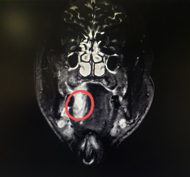 1578981726173342.png 图片6.png