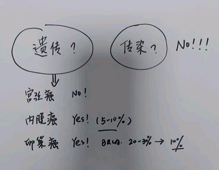 視頻封面