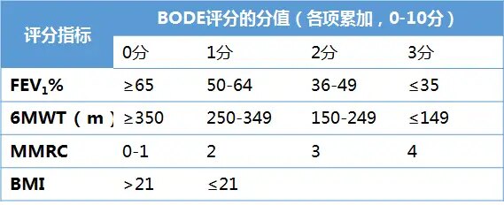 暂无