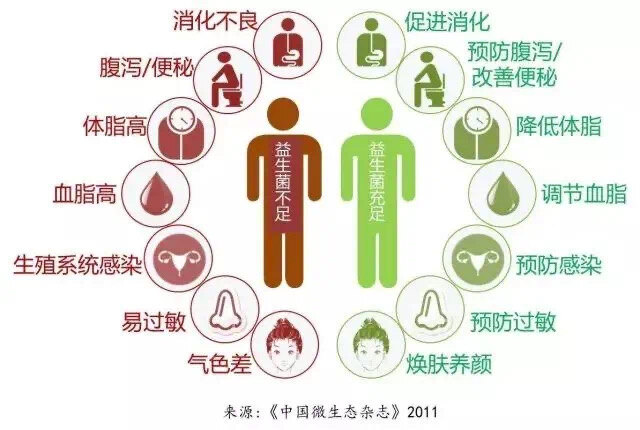 益生菌,人体的"护卫军"_肠疾病_肠疾病相关疾病 - 好大夫在线