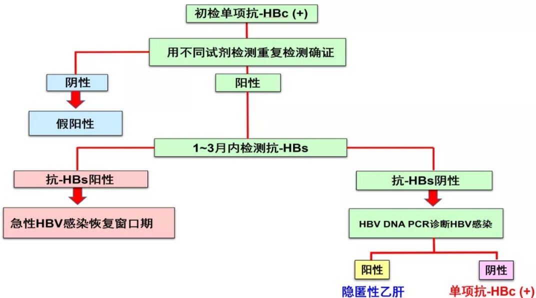 单项抗-hbc阳性是指hbsag和抗-hbs阴性,抗-hbc阳性(或igm,或igg,hbv