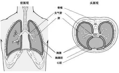 暂无