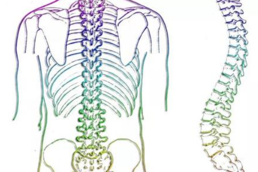 对脊柱侧弯进行初步判断的时候