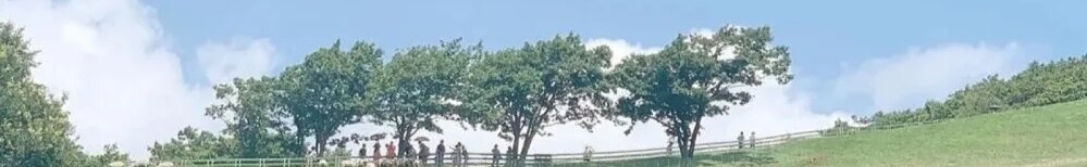 暂无