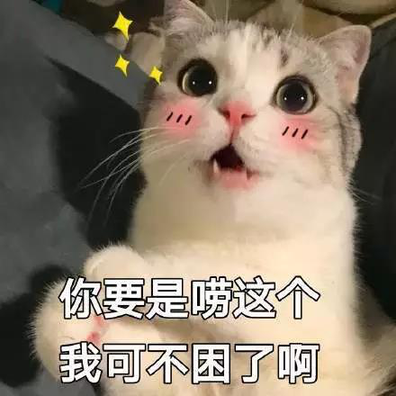你要是唠这个我可不困啊.png