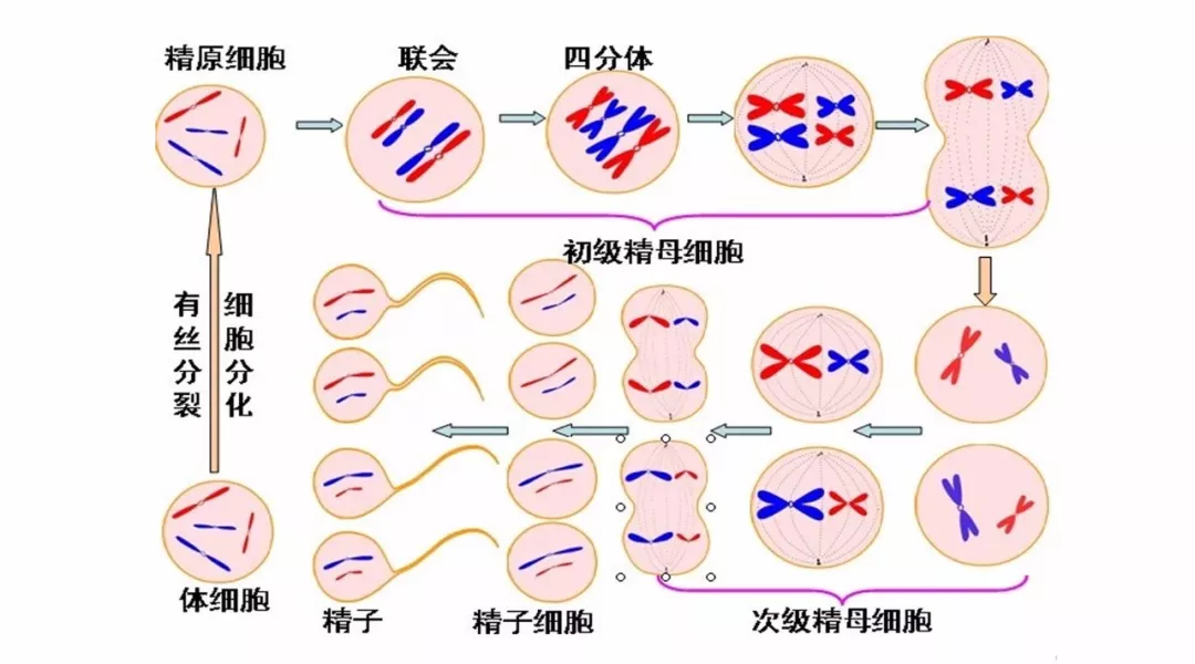 微信图片_20210403231205.png